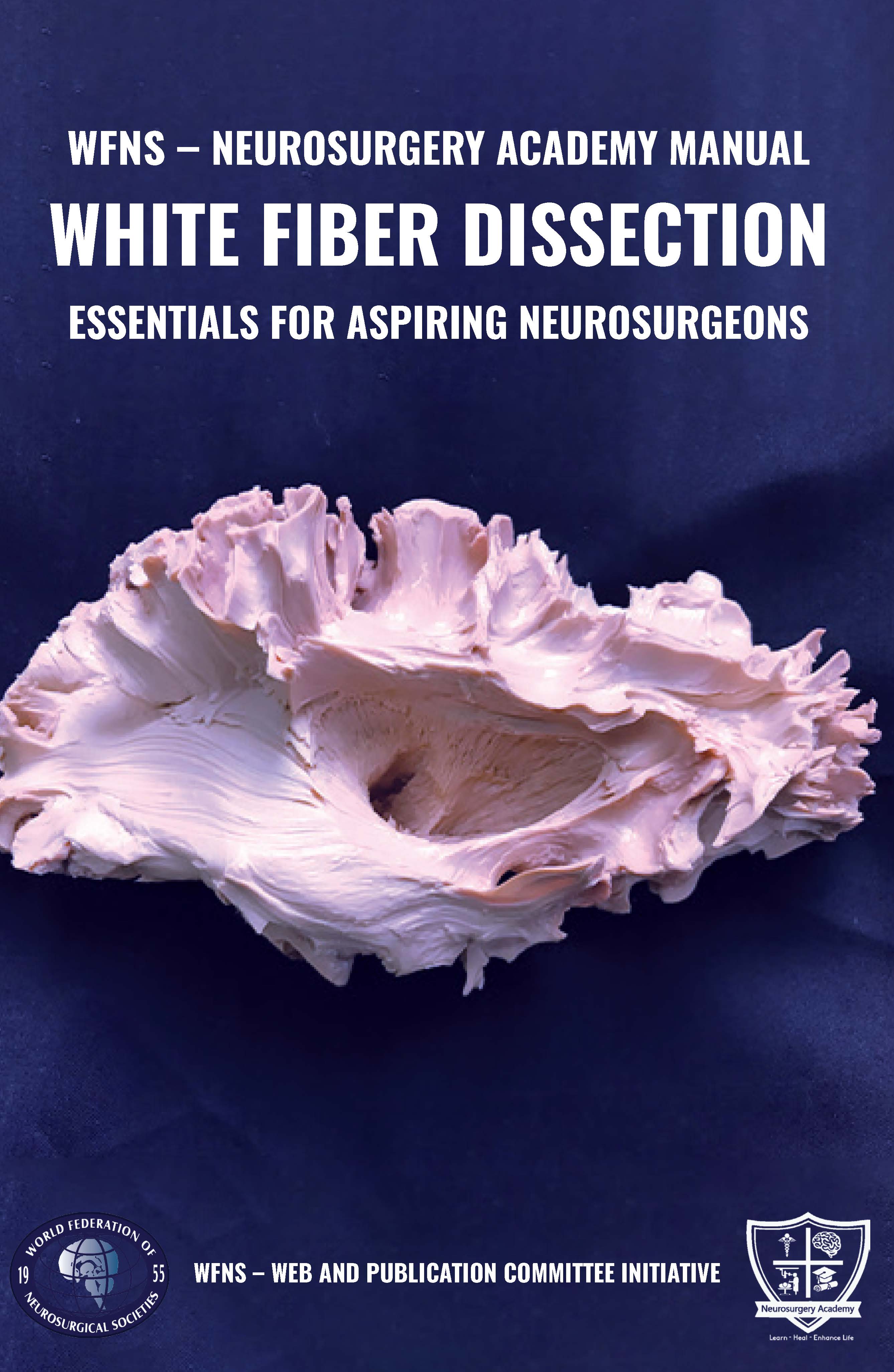 WFNS – Neurosurgery Academy Manual Essentials 